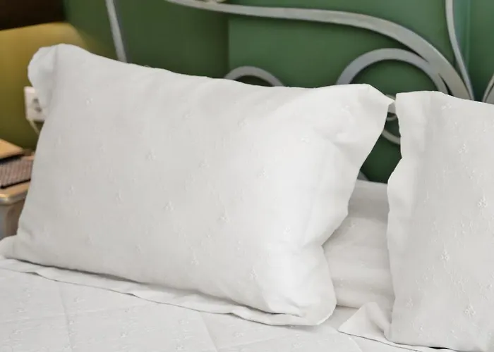 酒店 艾林农宾馆 纳夫普利翁