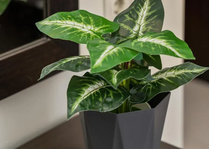 酒店 艾林农宾馆