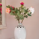 Aerinon Отель 3*