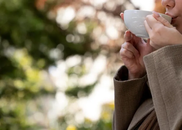 Aerinon Hotel Nauplia